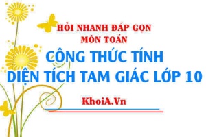 Công thức tính diện tích tam giác lớp 10 Cánh Diều - Hỏi nhanh đáp gọn